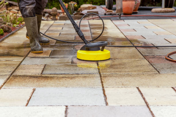 Best Fence Cleaning and Maintenance in Roanoke Rapids, NC