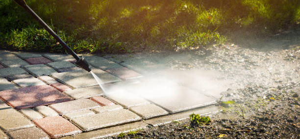 Best Gutter Cleaning and Brightening in Roanoke Rapids, NC