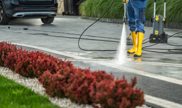 Best Pool Deck Cleaning in Roanoke Rapids, NC